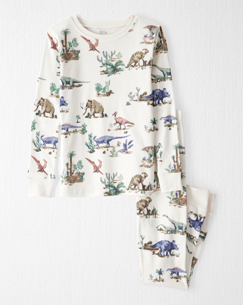 Kid Dinosaur Print Organic Cotton 2-Piece Pajamas, 