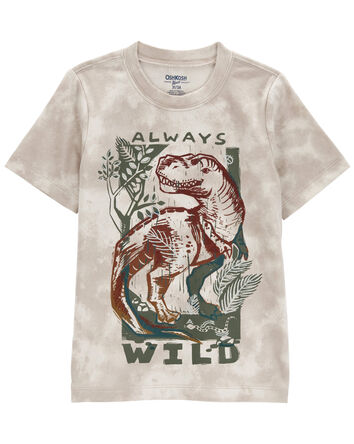 Baby Embroidered Dino Graphic Tee, 