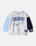 Baby Boy Bluey Colorblock French Terry Sweatshirt - Grey, image 1 of 2 slides