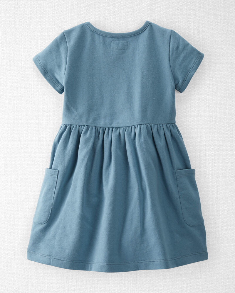 Toddler Organic Cotton Pocket Dress in Cottage Blue, image 2 of 5 slides