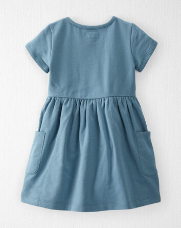 Toddler Organic Cotton Pocket Dress in Cottage Blue, 