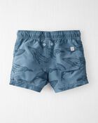 Toddler Whale Print Recycled Swim Trunks, image 2 of 4 slides