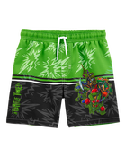 Kid 2-Piece Teenage Mutant Ninja Turtles Rashguard & Swim Trunk Set, image 5 of 7 slides