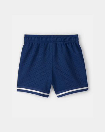 Toddler Boy Stripe Mesh Active Shorts - Blue, 