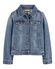 Spring Blue Indigo