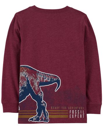 Kid Dinosaur Graphic Tee, 