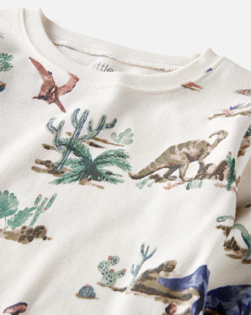 Kid Dinosaur Print Organic Cotton 2-Piece Pajamas, 