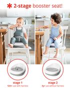 Sleek Seat Booster - Grey/White, image 3 of 11 slides