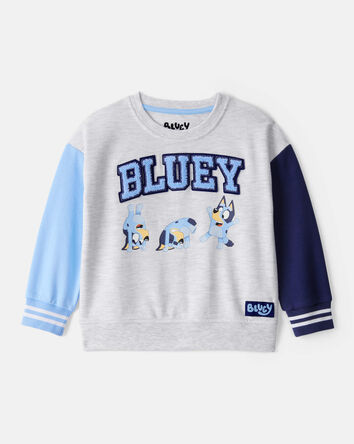 Toddler Boy Bluey Colorblock French Terry Sweatshirt - Grey, 