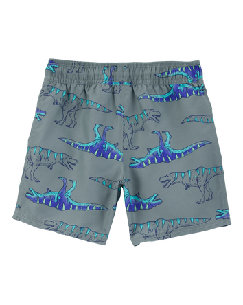 Boys Dinosaur Swim Trunks - Grey, 