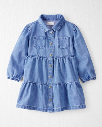 Toddler Organic Cotton Chambray Dress, 