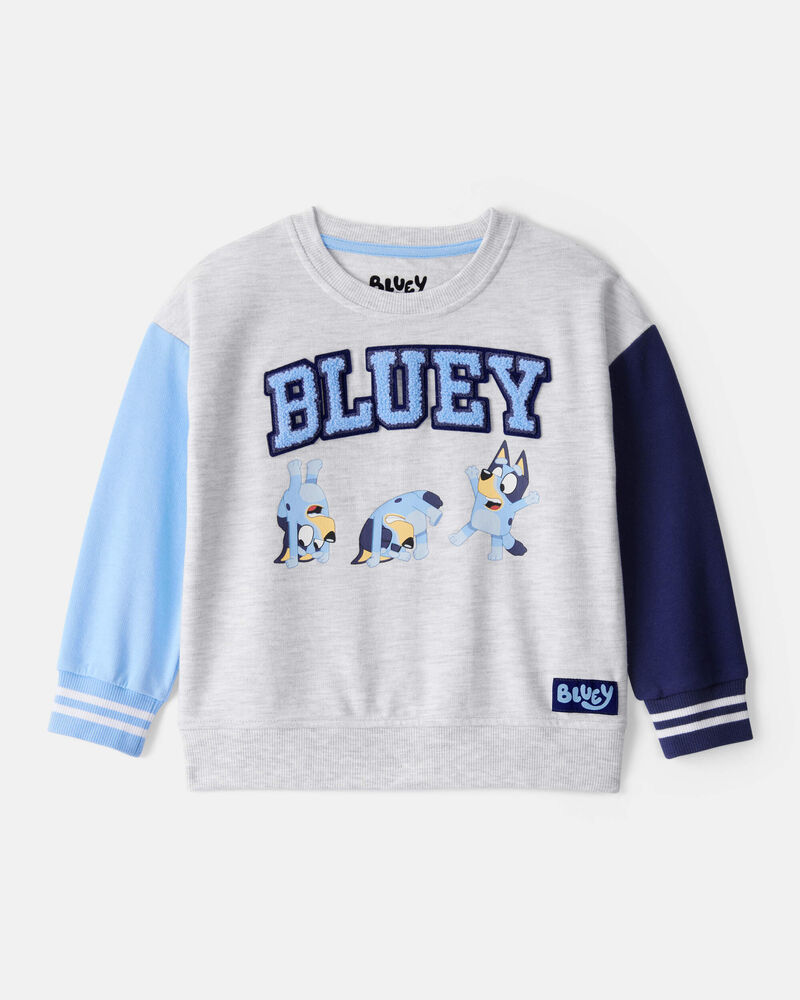 Toddler Boy Bluey Colorblock French Terry Sweatshirt - Grey, image 1 of 3 slides