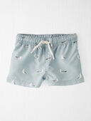 Seagull Print - Baby Recycled Swim Trunks