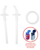 Stainless Steel Straw Bottle Extra Straws - 2-Pack, image 1 of 2 slides