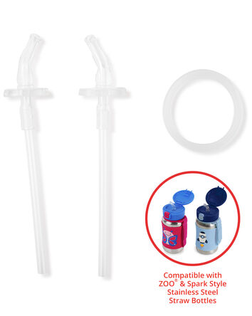 Stainless Steel Straw Bottle Extra Straws - 2-Pack, 