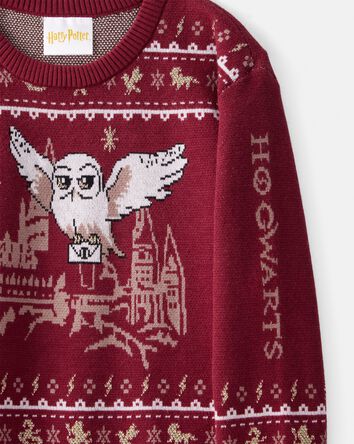 Boys Harry Potter® Long-Sleeve Sweater - Red, 