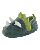 Dinosaur Slippers, image 6 of 6 slides