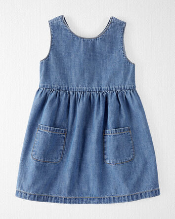 Toddler Organic Cotton Chambray Pocket Dress, 
