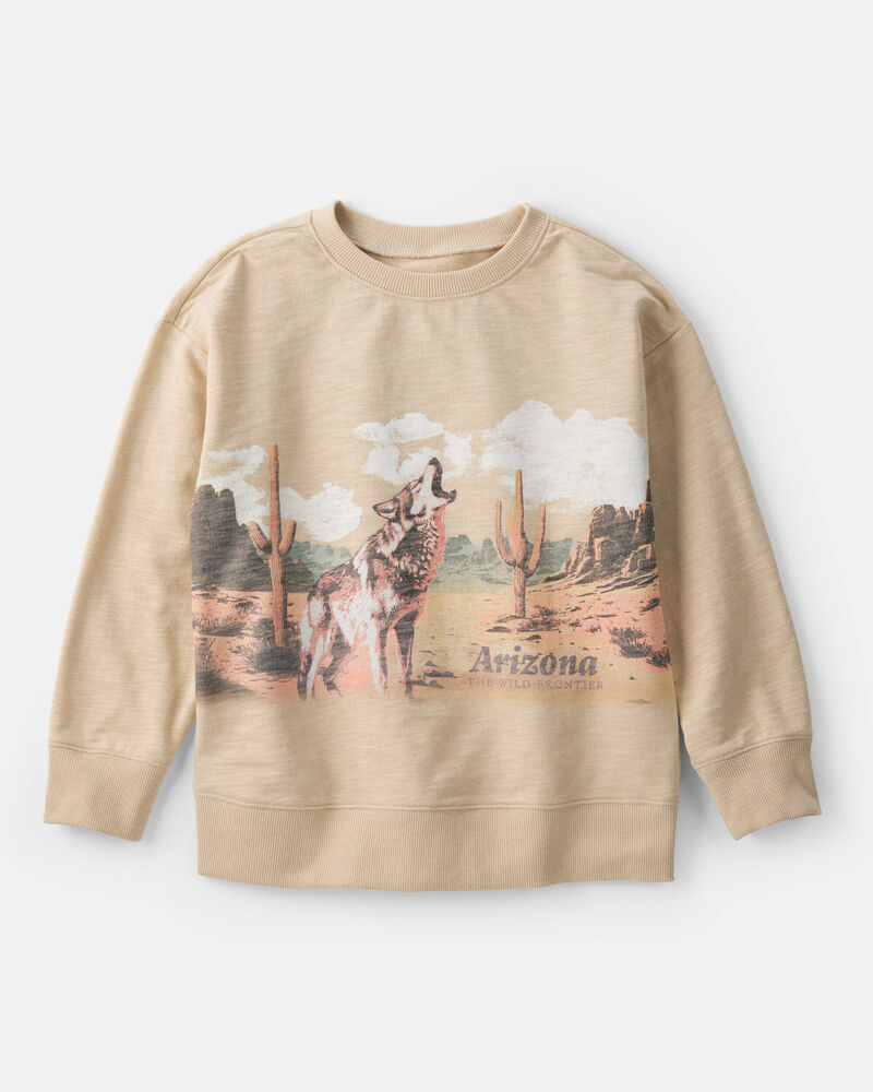 Boys Arizona Western Cotton Pullover Sweatshirt - Brown, image 1 of 3 slides