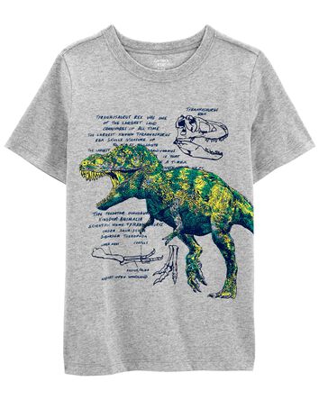 Kid Dinosaur Graphic Tee, 
