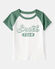 Green/White