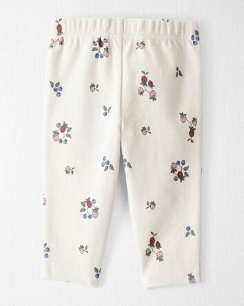 Baby Organic Cotton Ribbed Knit Pants in Berry Blossom Print, 