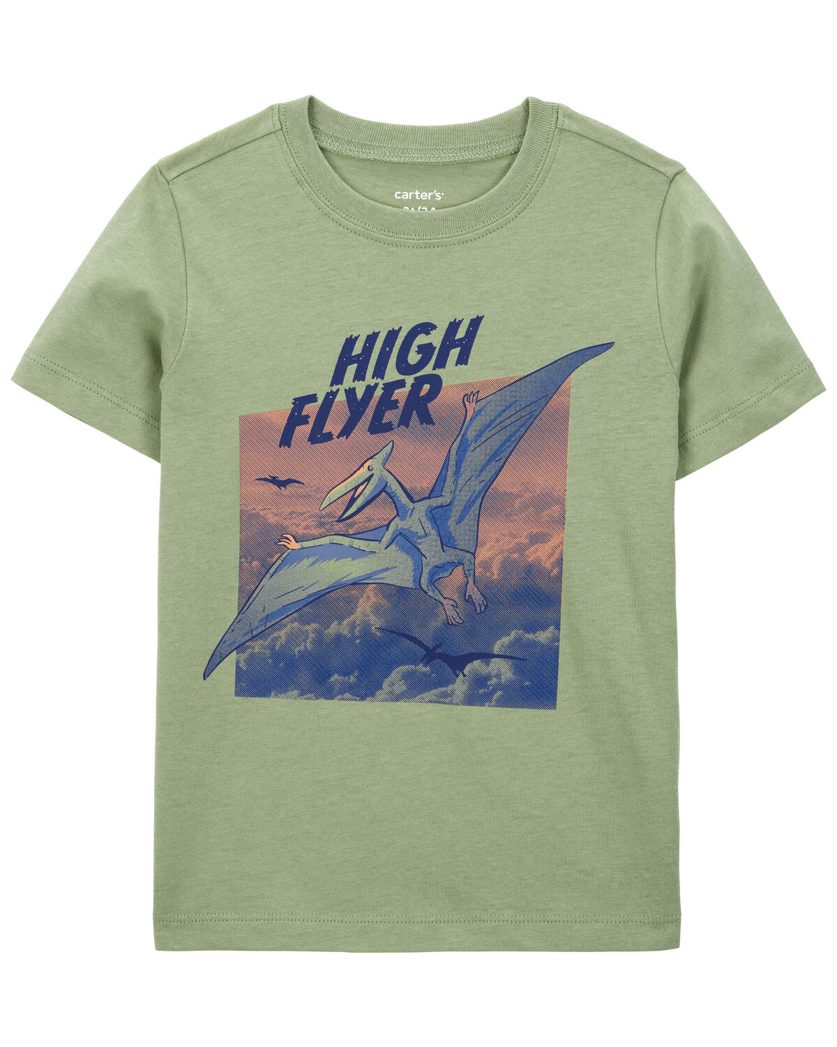 Toddler Flying Dinosaur Graphic Tee