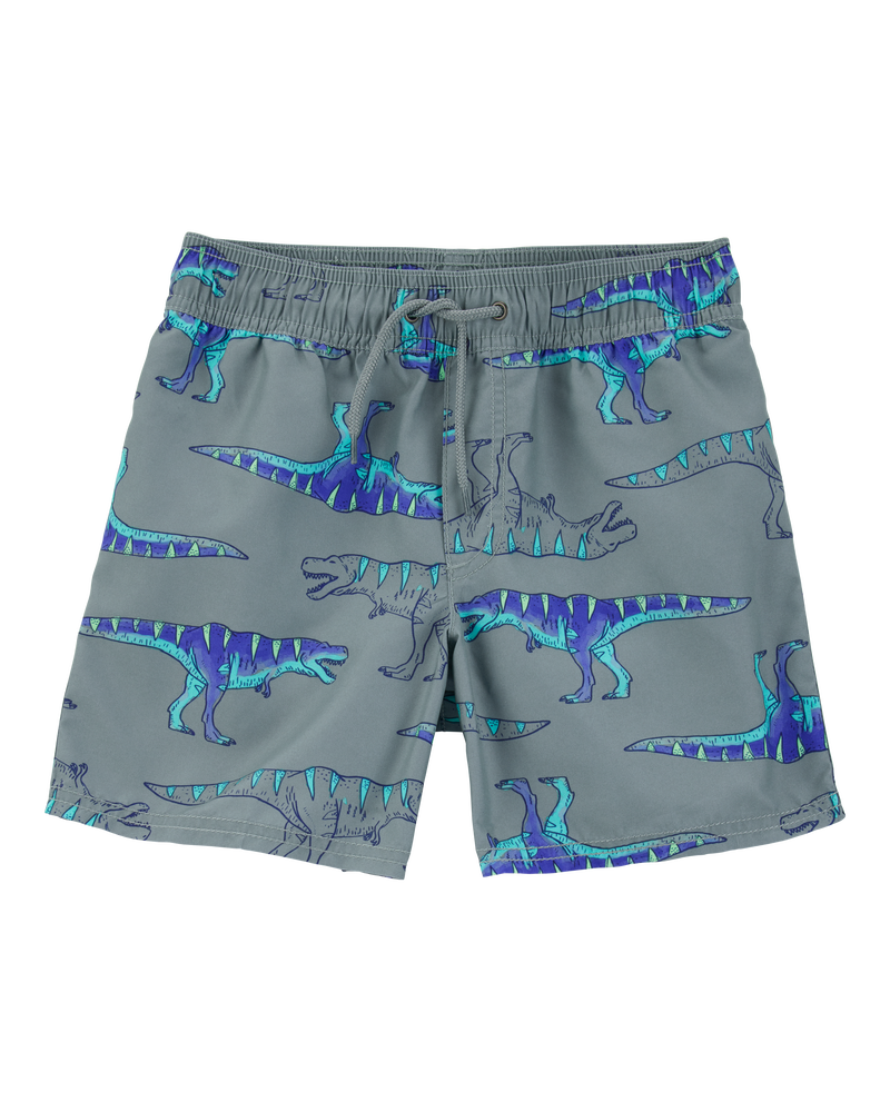 Boys Dinosaur Swim Trunks - Grey, image 1 of 4 slides