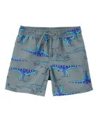 Boys Dinosaur Swim Trunks - Grey, image 1 of 4 slides
