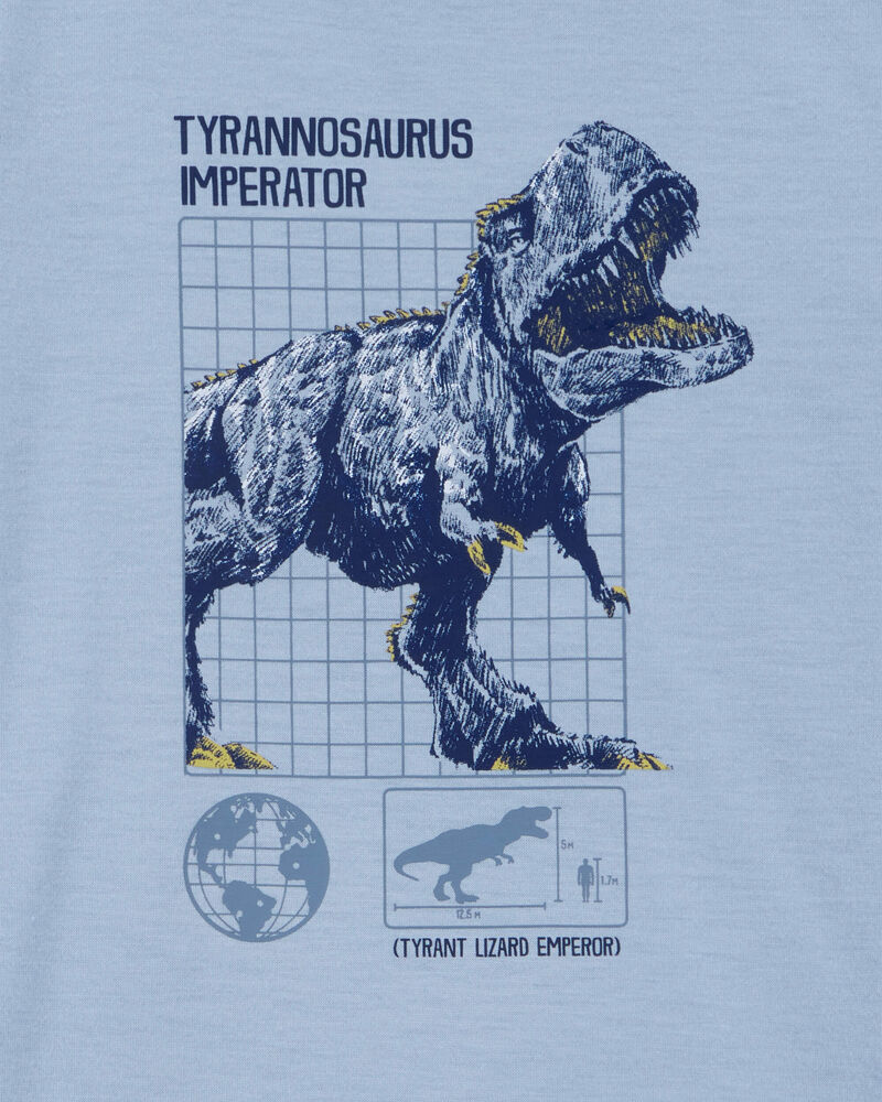 Boys Dinosaur Loose Fit 2-Piece Pajamas - Blue, image 2 of 3 slides
