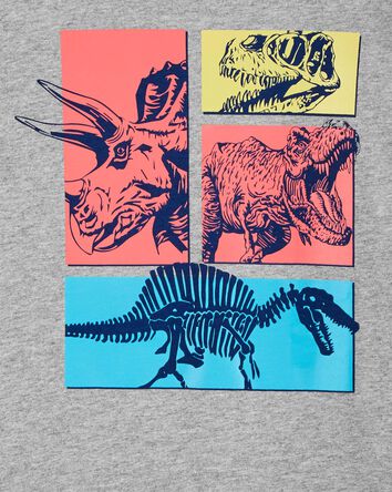 Dinosaur Graphic Tee, 
