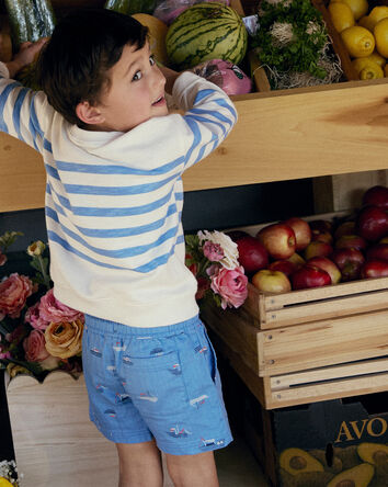 Toddler Boy Sailboat Twill Shorts - Blue, 