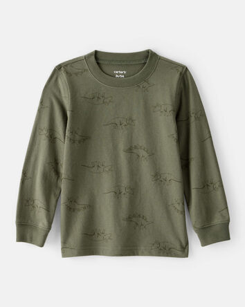 Toddler Boy Dinosaur Print Long-Sleeve Tee - Green, 