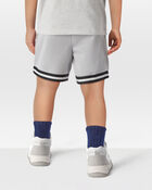 Toddler 2-Pack Fan-Favorite Mesh Shorts, image 11 of 11 slides