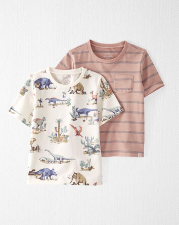 Toddler 2-Pack Organic Cotton Tees, 