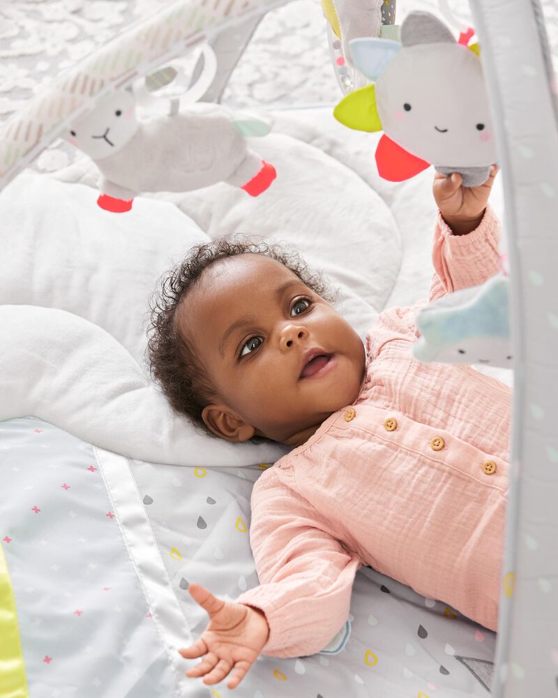 Silver Lining Cloud Activity Gym, image 7 of 18 slides