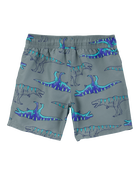 Boys Dinosaur Swim Trunks - Grey, image 2 of 4 slides