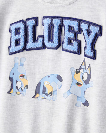 Toddler Boy Bluey Colorblock French Terry Sweatshirt - Grey, 