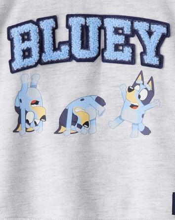Baby Boy Bluey Colorblock French Terry Sweatshirt - Grey, 