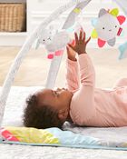 Silver Lining Cloud Activity Gym, image 5 of 18 slides