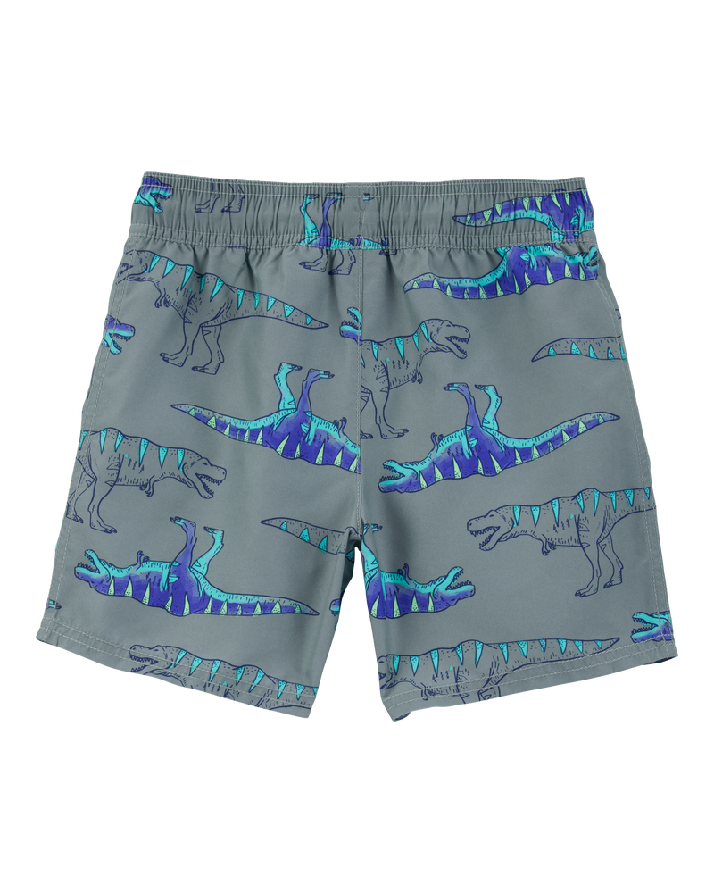 Boys Dinosaur Swim Trunks - Grey, image 2 of 4 slides