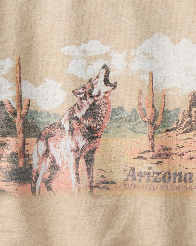Boys Arizona Western Cotton Pullover Sweatshirt - Brown, image 2 of 3 slides