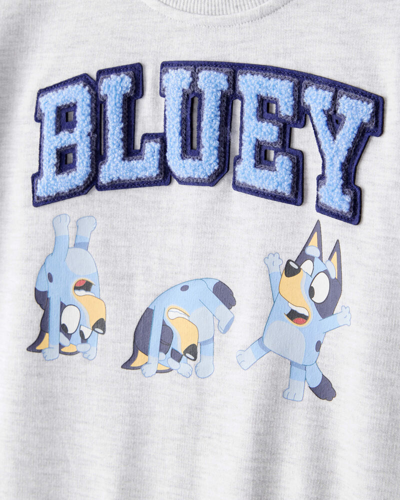 Toddler Boy Bluey Colorblock French Terry Sweatshirt - Grey, image 2 of 3 slides