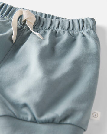 Toddler 2-Pack Organic Cotton Shorts in Heather Grey & Blue Creek, 
