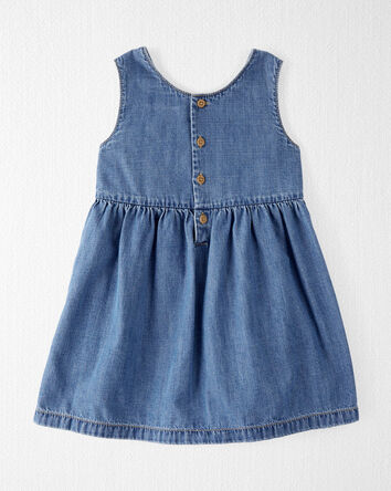 Toddler Organic Cotton Chambray Pocket Dress, 