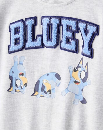 Toddler Boy Bluey Colorblock French Terry Sweatshirt - Grey, 