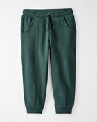 Toddler Organic Cotton Joggers in Poplar Green, image 1 of 4 slides