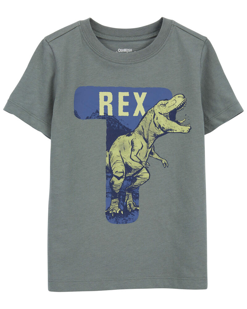 Toddler Dino Graphic Tee, image 1 of 3 slides
