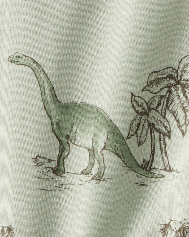 Baby Boy 2-Pack Dinosaur Print PurelySoft Pull-On Pants - Green, image 4 of 7 slides
