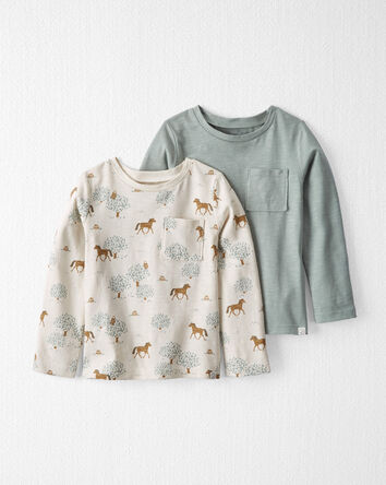 Toddler 2-Pack Organic Cotton T-Shirts in Wild Horses & Sage Pond, 